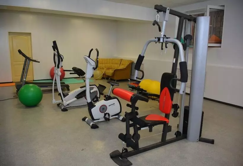 Hostelli Park Hotel Shinkar