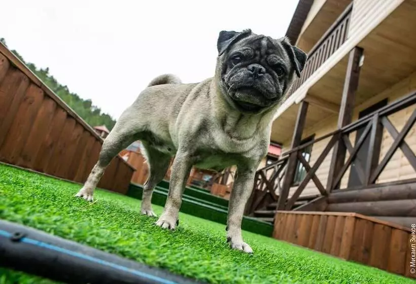 Park Hotel Baikal Dar