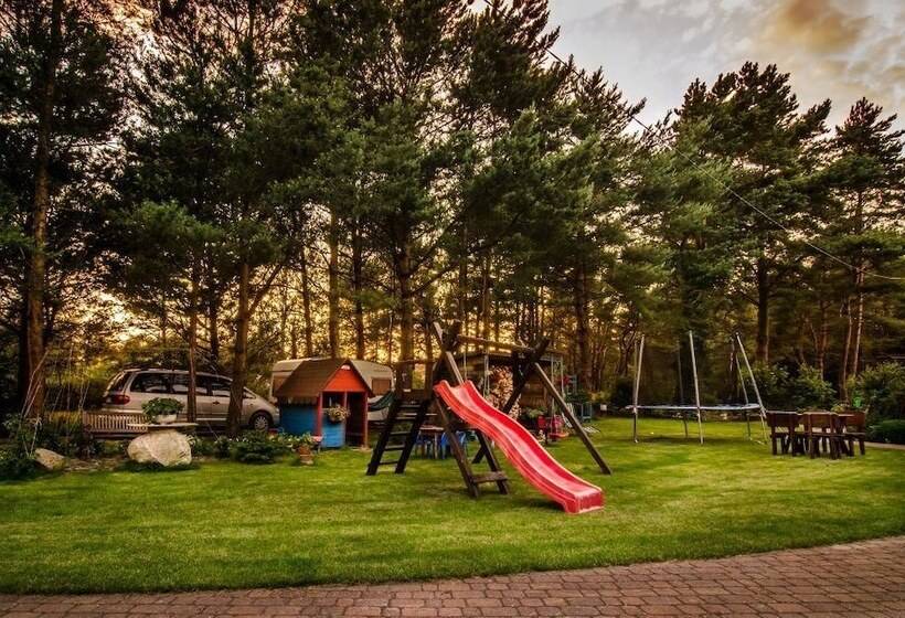 ペンション Willa Wiktoria