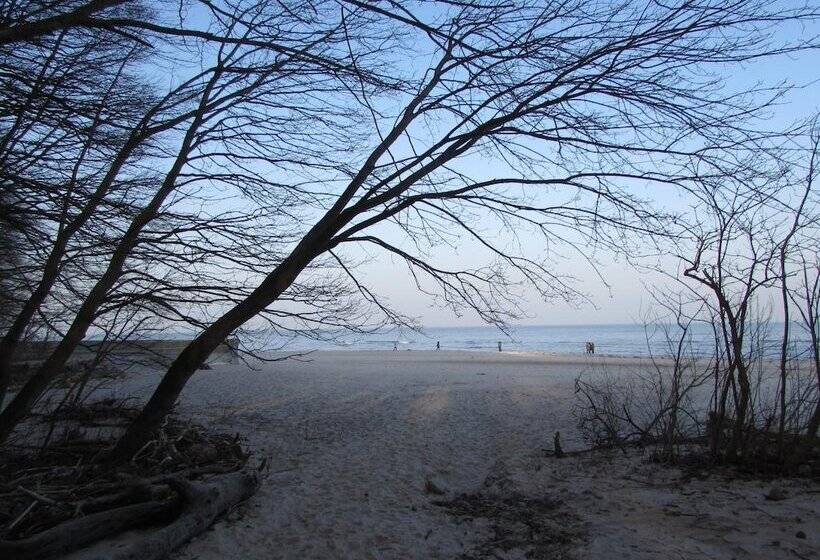 ペンション Willa Wiktoria