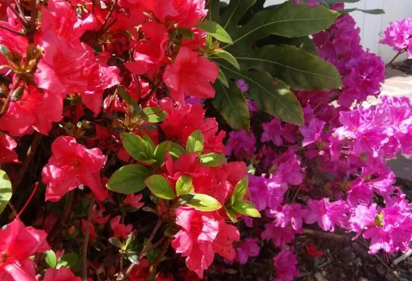 酒店 Eskualduna Chez Katina