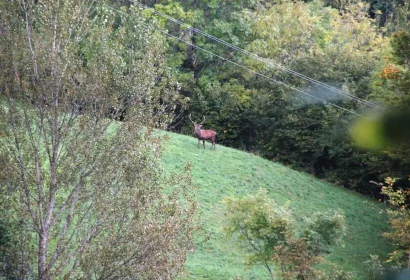 Отель Hôtel Des Chazes