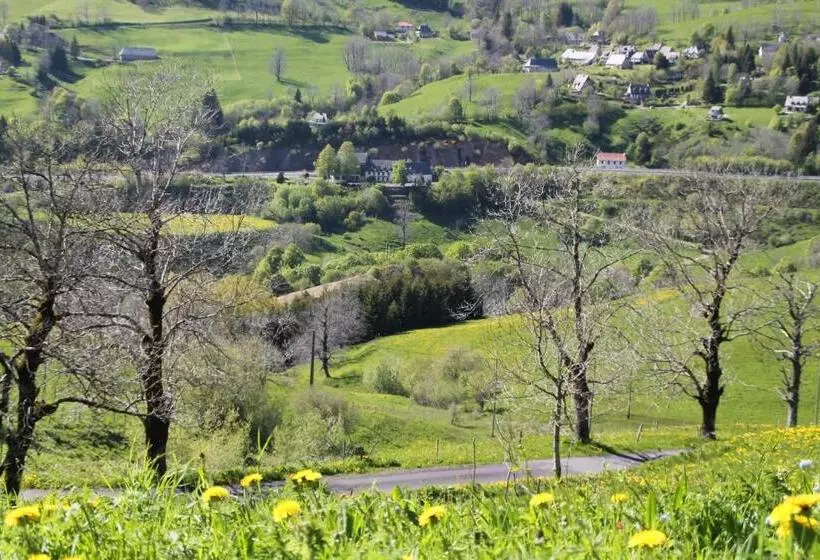 Отель Hôtel Des Chazes