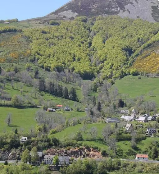 Отель Hôtel Des Chazes