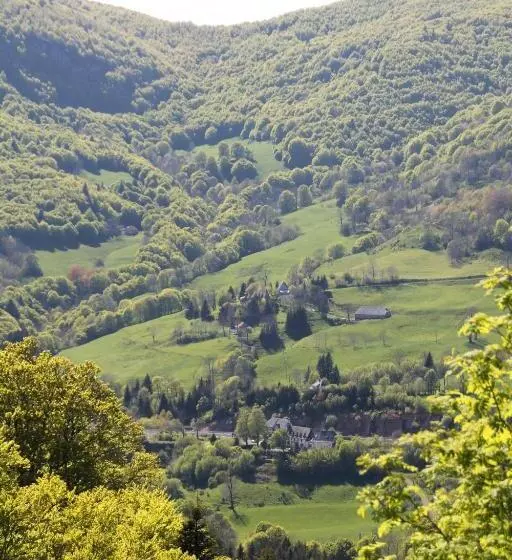 Отель Hôtel Des Chazes