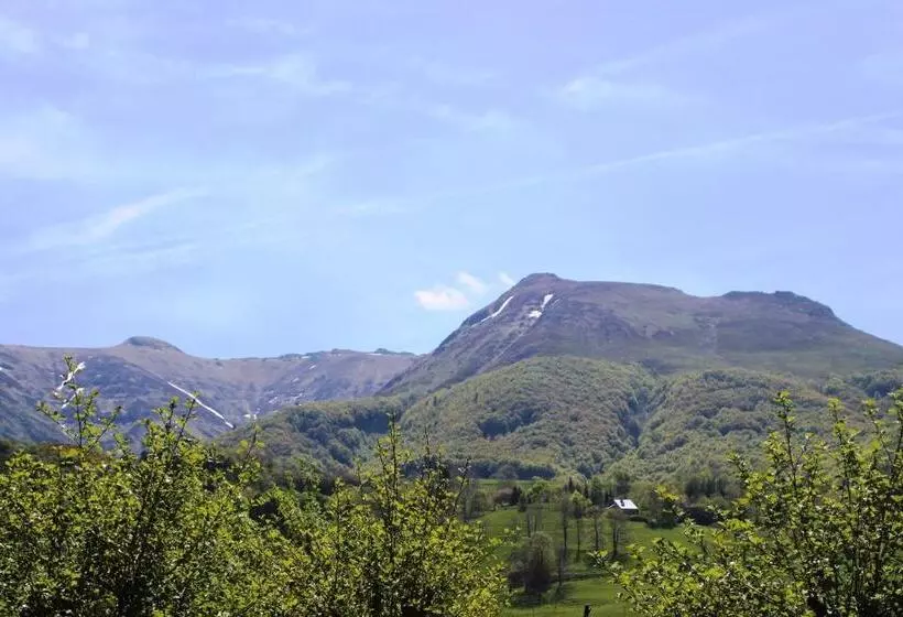 Отель Hôtel Des Chazes