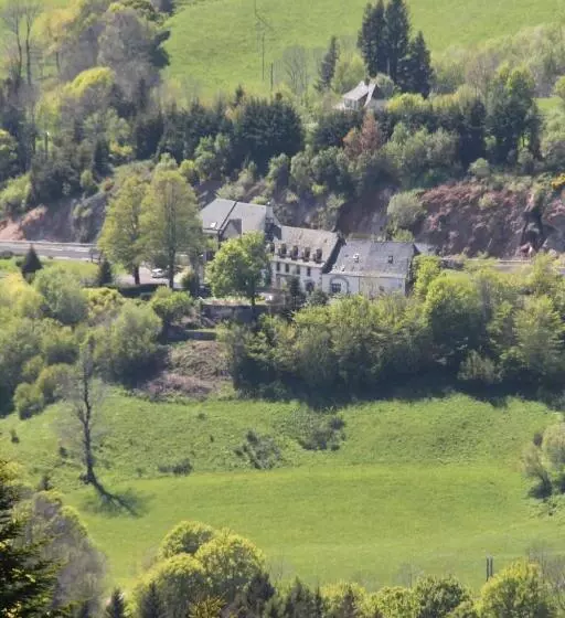 Отель Hôtel Des Chazes