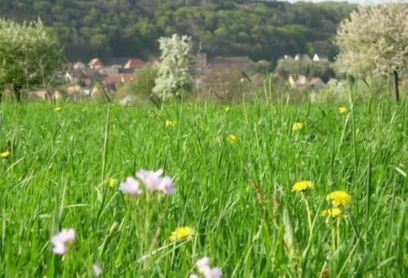 בית מלון כפרי Restaurant Kleiber