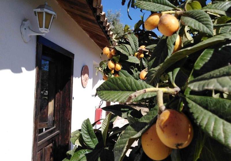 Agriturismo Capocorso