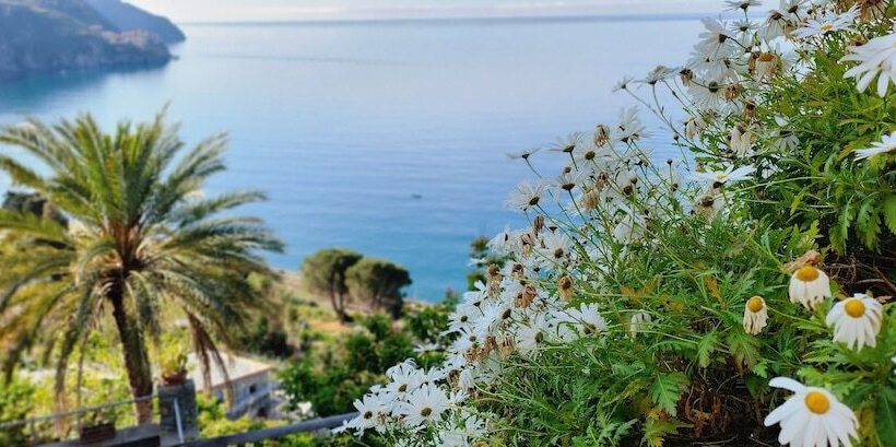 Hanging Garden With Air Conditioning