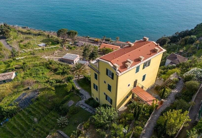 Hanging Garden With Air Conditioning