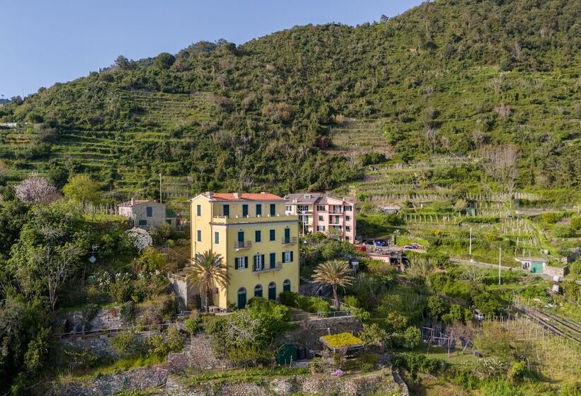 Hanging Garden With Air Conditioning