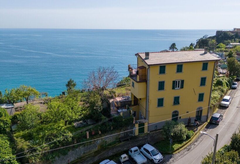 Hanging Garden With Air Conditioning