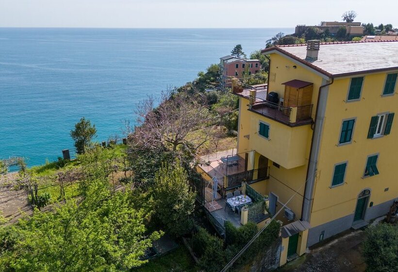 Hanging Garden With Air Conditioning