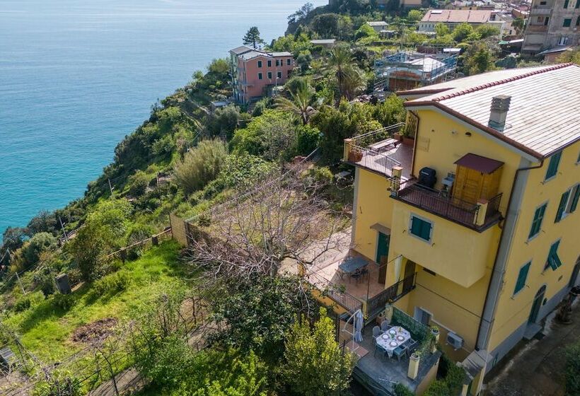 Hanging Garden With Air Conditioning