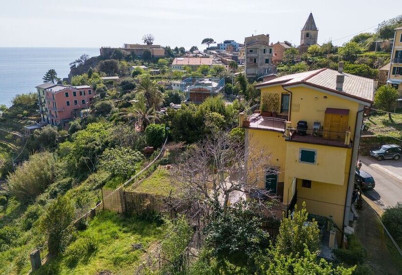 Hanging Garden With Air Conditioning