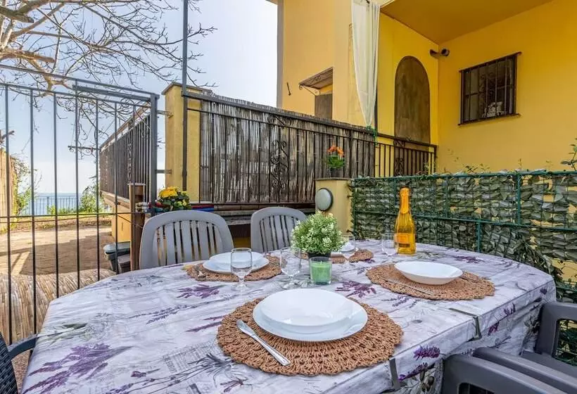 Hanging Garden With Air Conditioning