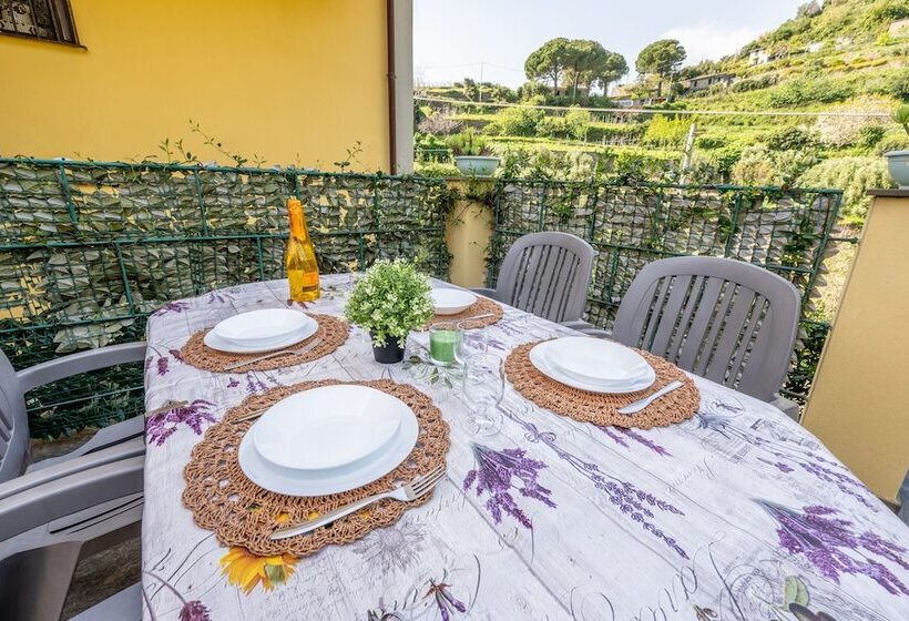 Hanging Garden With Air Conditioning