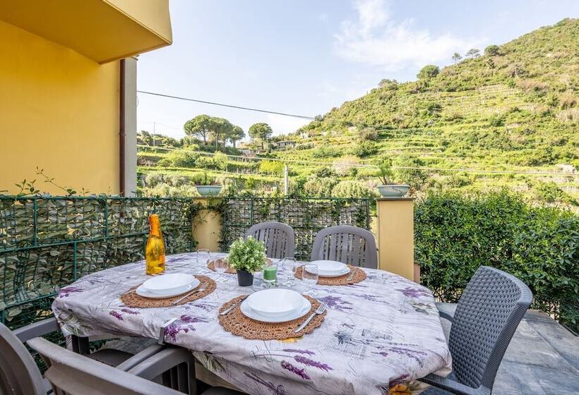 Hanging Garden With Air Conditioning