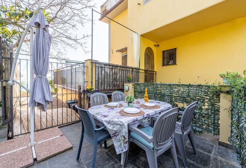 Hanging Garden With Air Conditioning