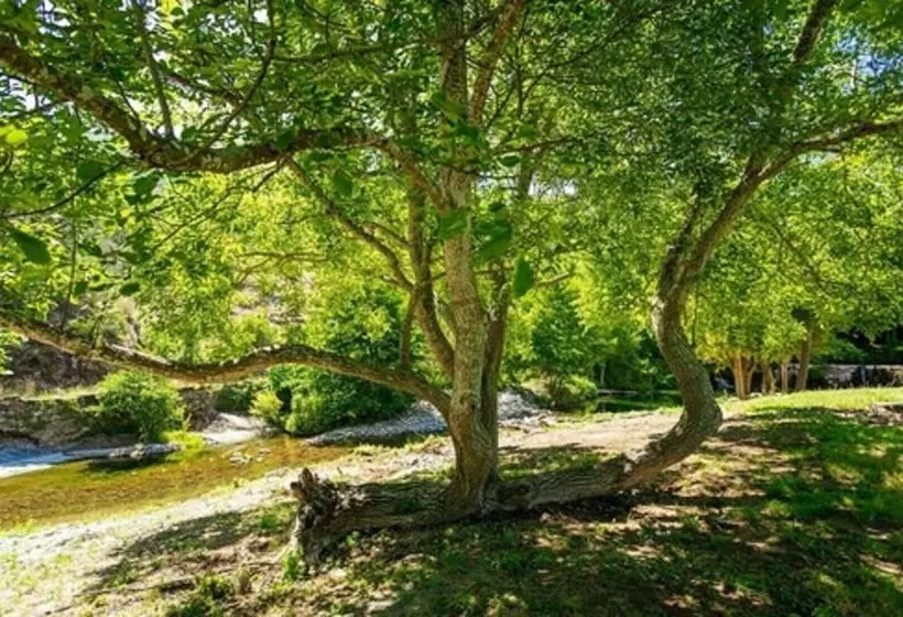 ホテル Camping Les Cerisiers Du Jaur