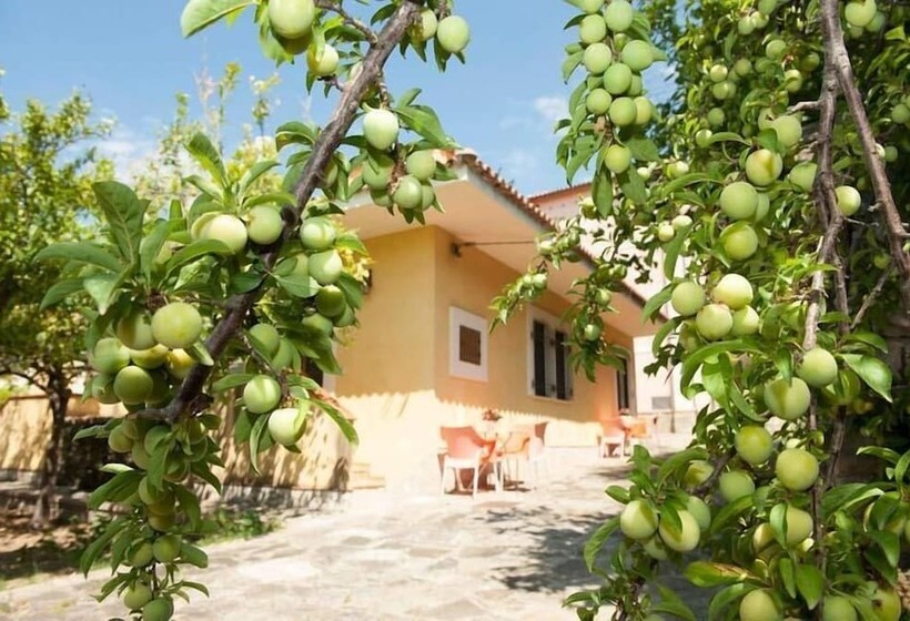 Bed and Breakfast Nel Giardino Dei Limoni