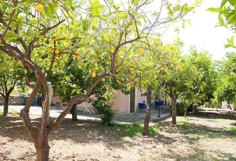 Bed and Breakfast Nel Giardino Dei Limoni