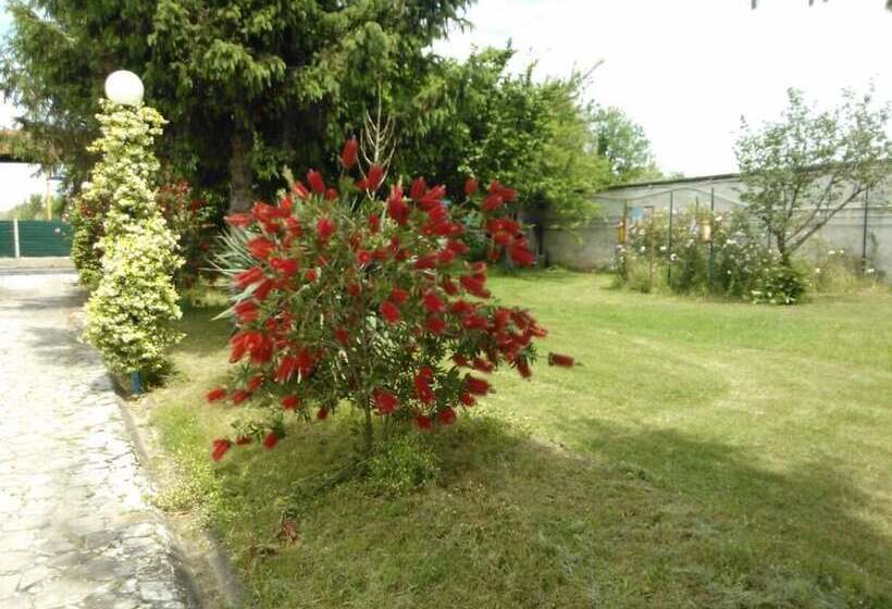 Bed and Breakfast Villa Glori