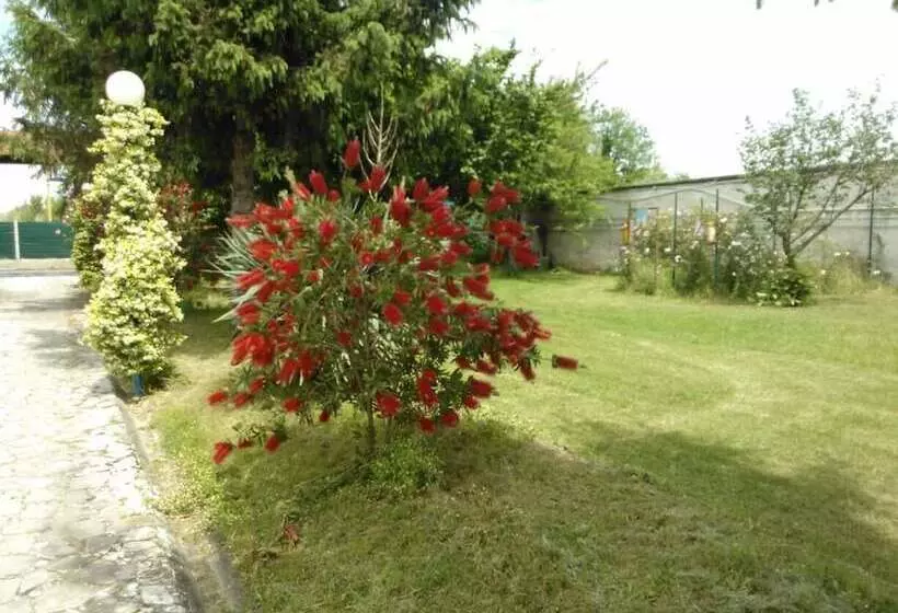 ベッドアンドブレックファースト Villa Glori