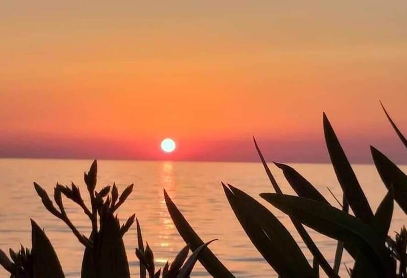 تختخواب و صبحانه Villa Primaluce