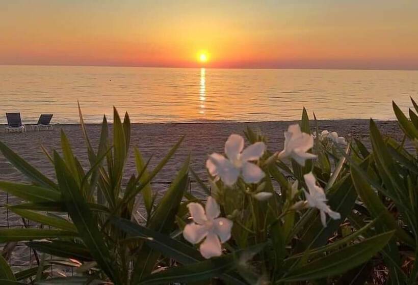 تختخواب و صبحانه Villa Primaluce