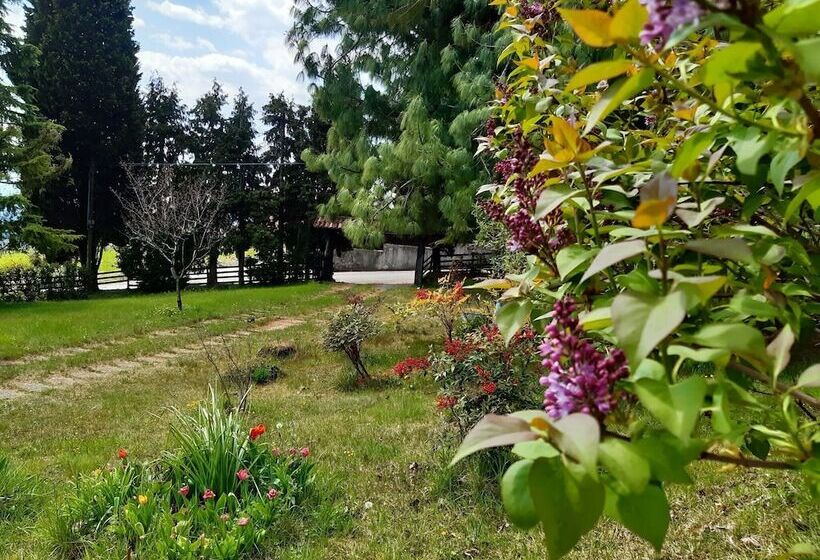 Cozy Detached House, Wide Garden, Wifi