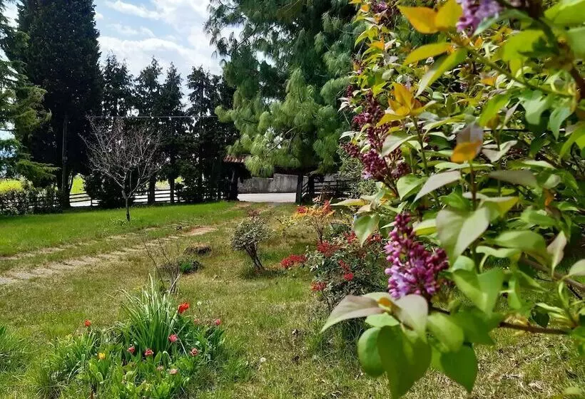 Cozy Detached House, Wide Garden, Wifi