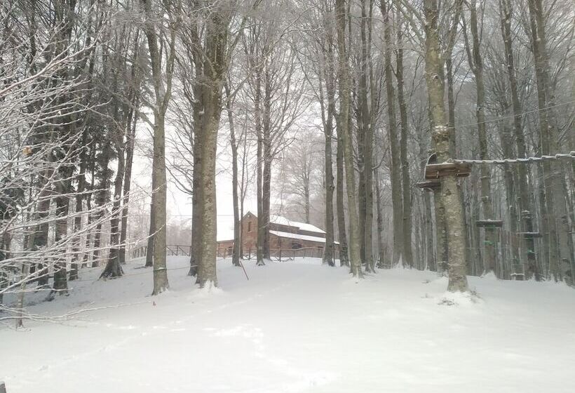 酒店 Chalet Il Vecchio Rifugio