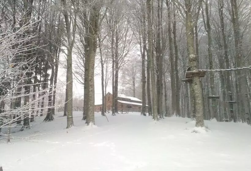 ホテル Chalet Il Vecchio Rifugio