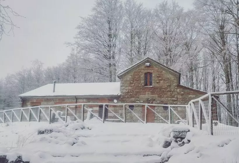 ホテル Chalet Il Vecchio Rifugio