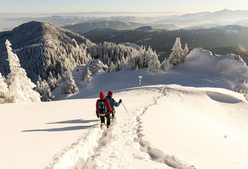 酒店 Comano Cattoni Holiday