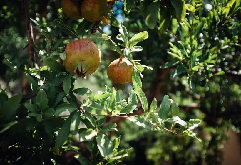 Hotelli Masseria Maggiore
