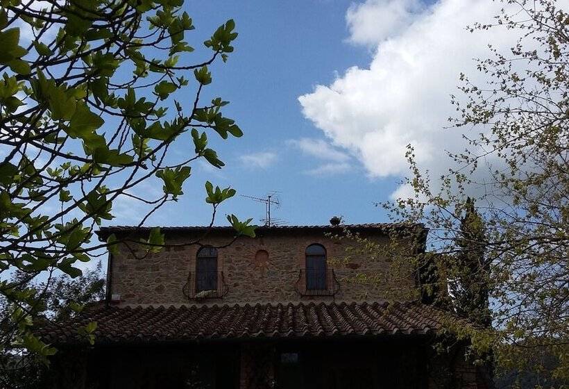 교외 호텔 Agriturismo Alle Rose