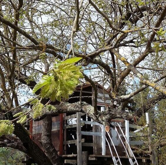 교외 호텔 Agriturismo Alle Rose