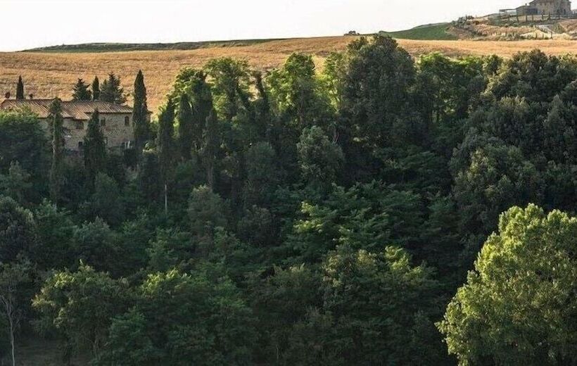 교외 호텔 Agriturismo Alle Rose