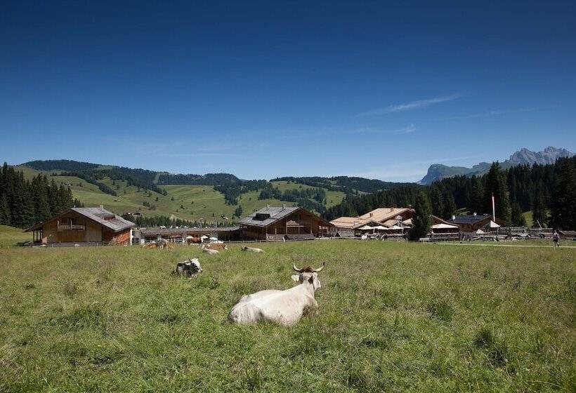 Dolomites Living Hotel Tirler