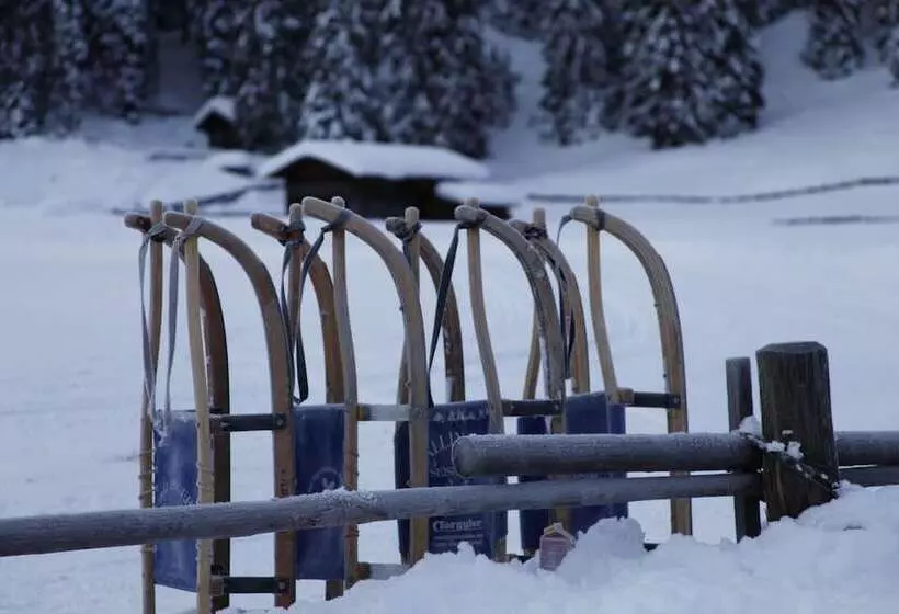 Dolomites Living Hotel Tirler