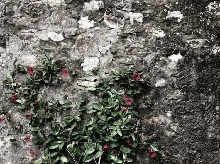 ベッドアンドブレックファースト Alcavour21