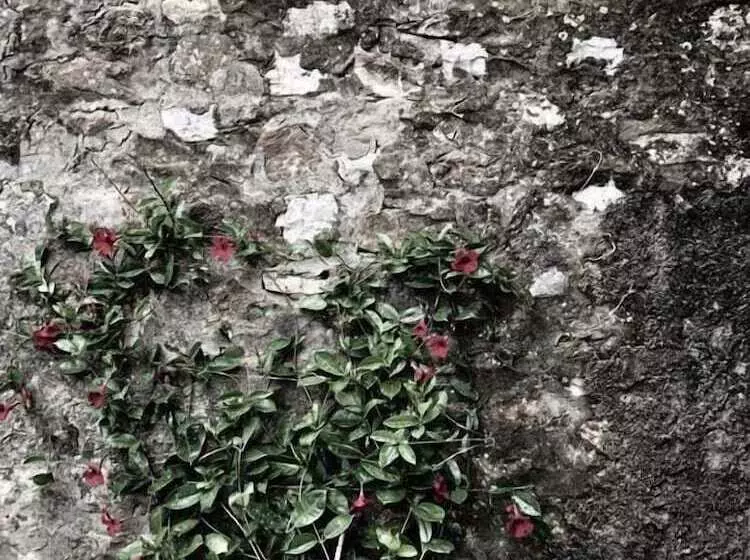 ベッドアンドブレックファースト Alcavour21