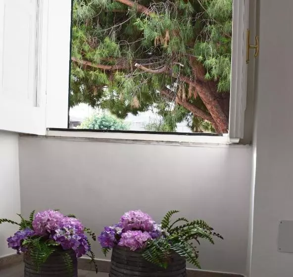 Aamiaismajoitus (B&B) Il Borgo