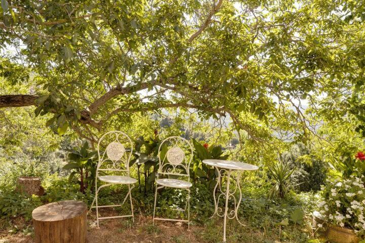 Agrifoglio B&b Con Giardino