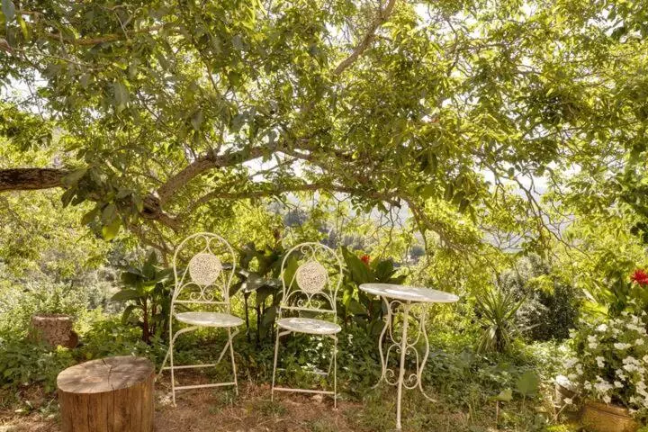 Agrifoglio B&b Con Giardino