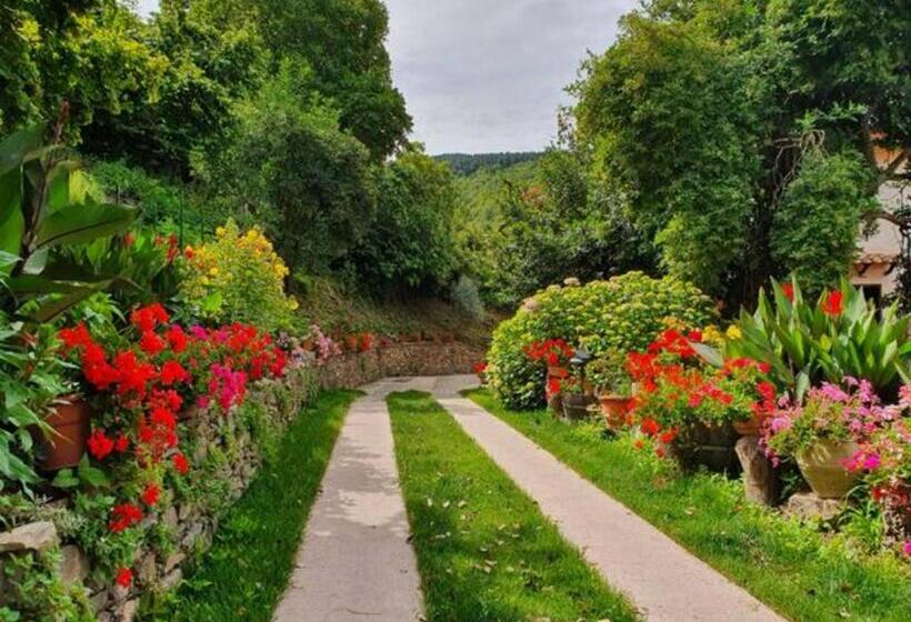 Agrifoglio B&b Con Giardino