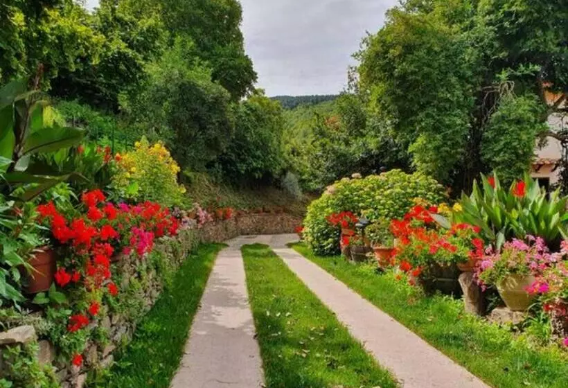 Agrifoglio B&b Con Giardino